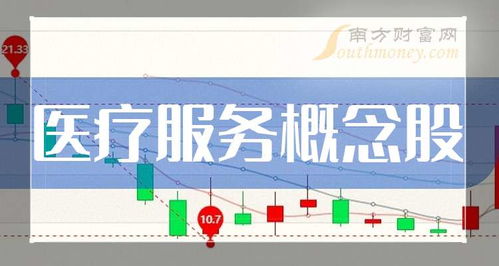 2024年第二季度醫(yī)療服務與票務代理服務概念股凈利率十強榜單出爐